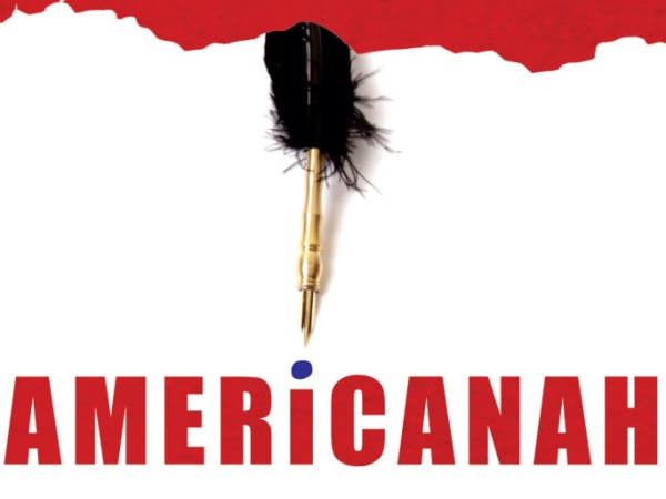 Libri da leggere se hai perso qualcosa di importante, tipo te stessa: Americanah di Chimamanda Ngozi&nbsp;Adichie