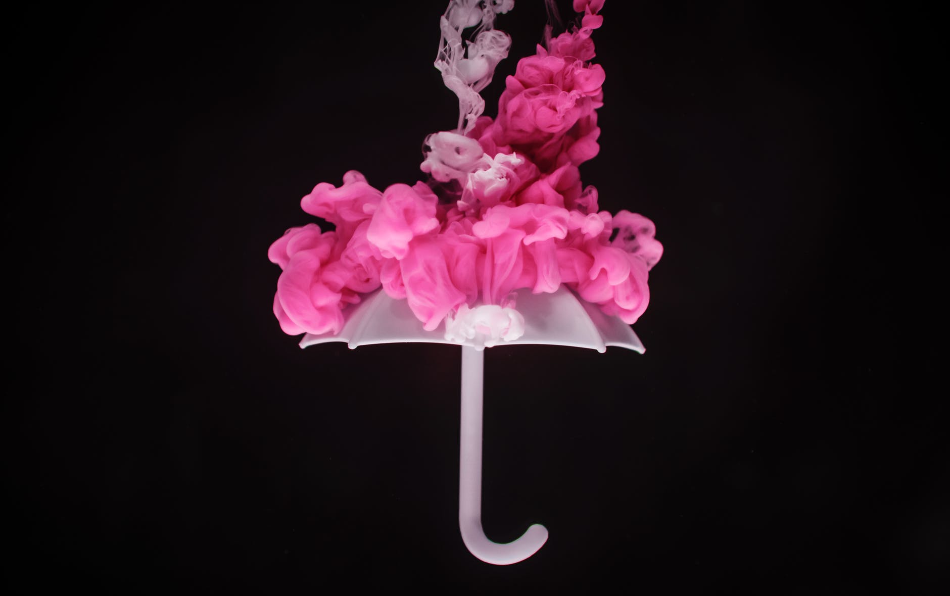 photo of pink and white floral embellished umbrella