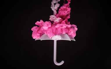 photo of pink and white floral embellished umbrella