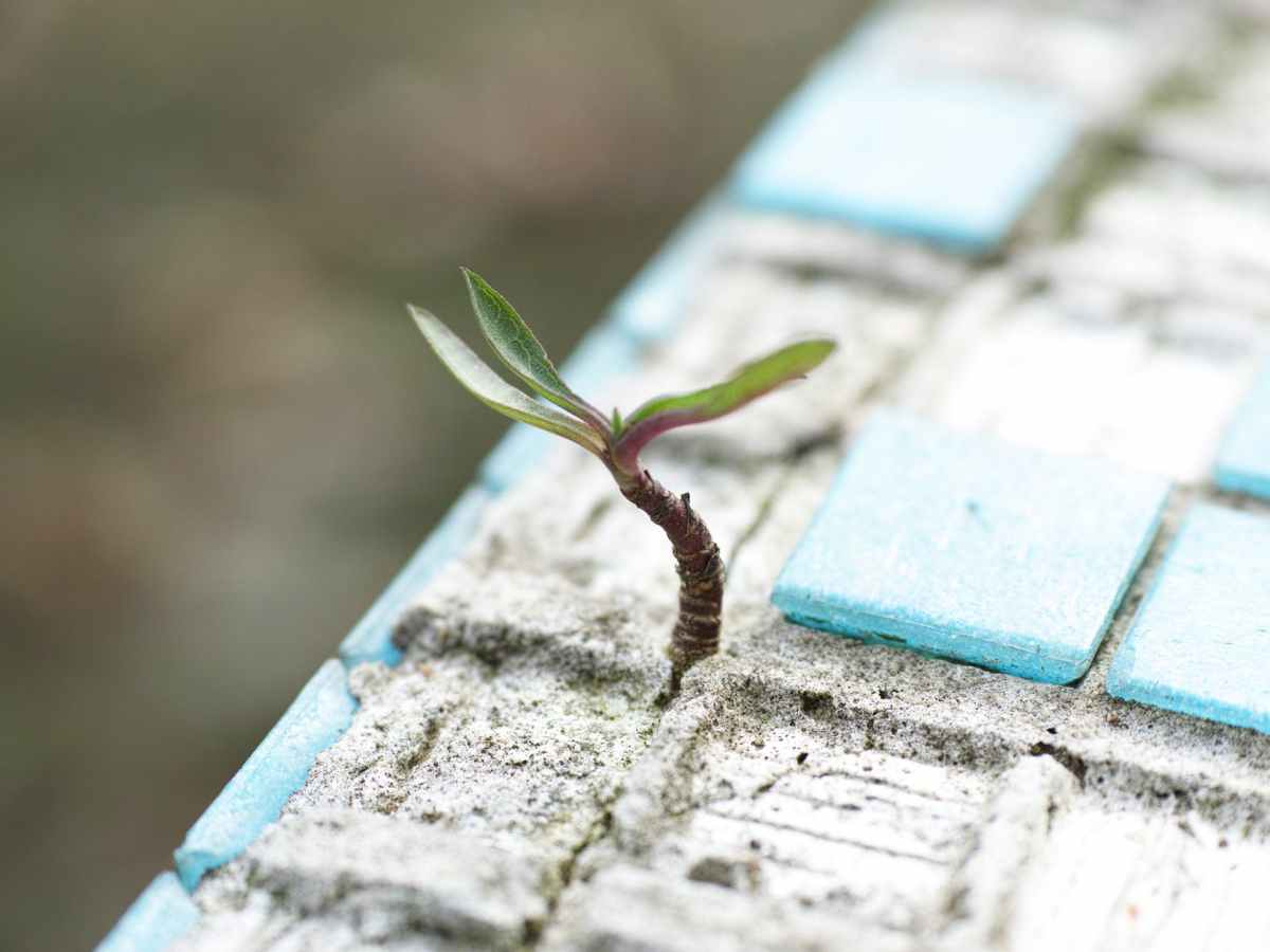 The importance of not giving up: cronache di una&nbsp;crisi